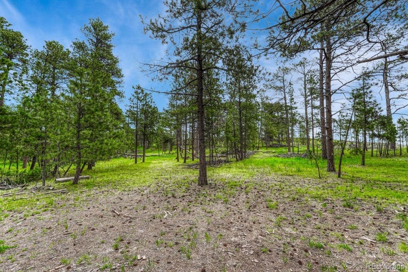 000 Wyandott Dr, Colorado Springs, CO 80908