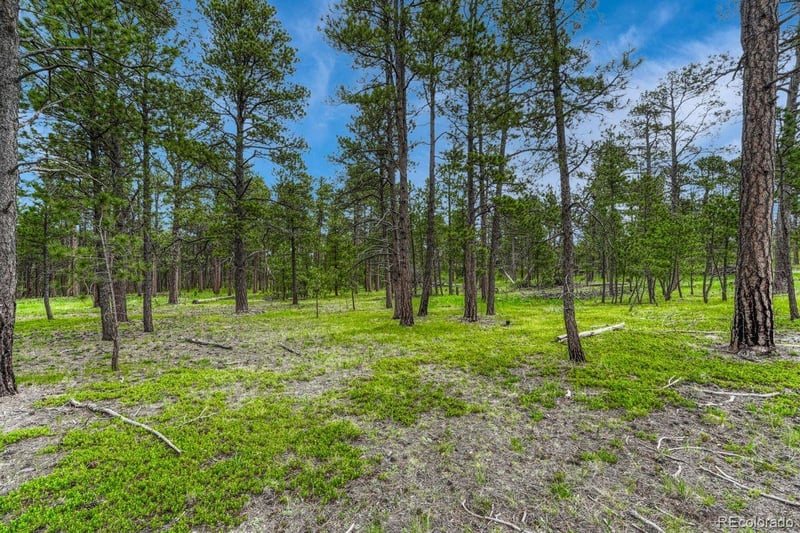 000 Wyandott Dr, Colorado Springs, CO 80908