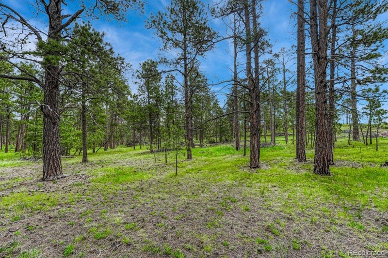 000 Wyandott Dr, Colorado Springs, CO 80908