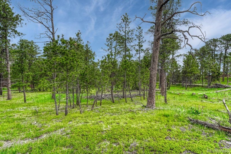 000 Wyandott Dr, Colorado Springs, CO 80908