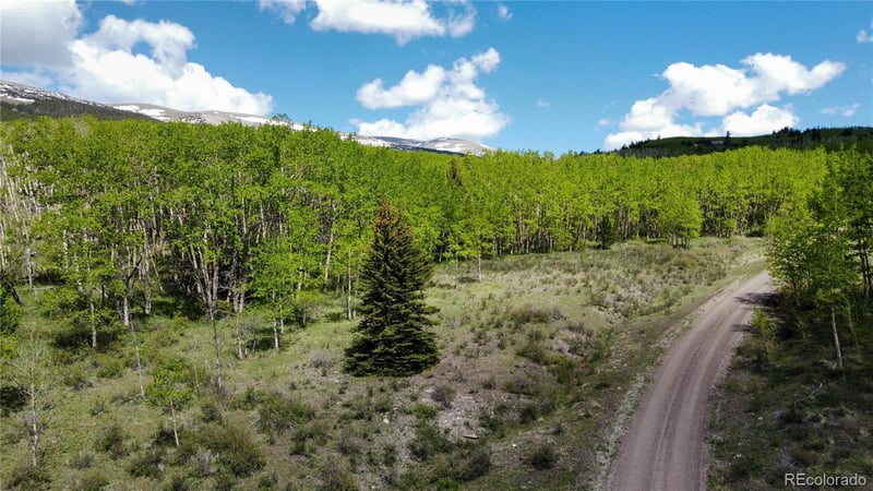 63 Pine Ridge Rd, Fairplay, CO 80440