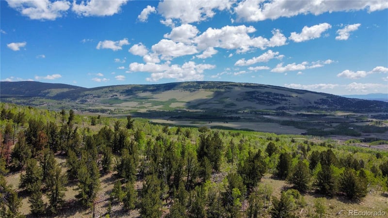 63 Pine Ridge Rd, Fairplay, CO 80440