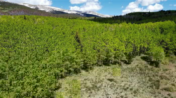 63 Pine Ridge Rd, Fairplay, CO 80440