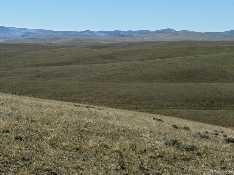 96 Angus Cir, Hartsel, CO 80449