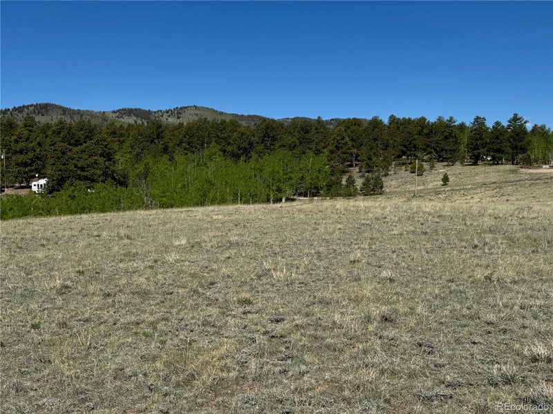 96 Angus Cir, Hartsel, CO 80449