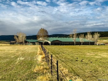 1071 Black Canyon Rd, Crawford, CO 81415