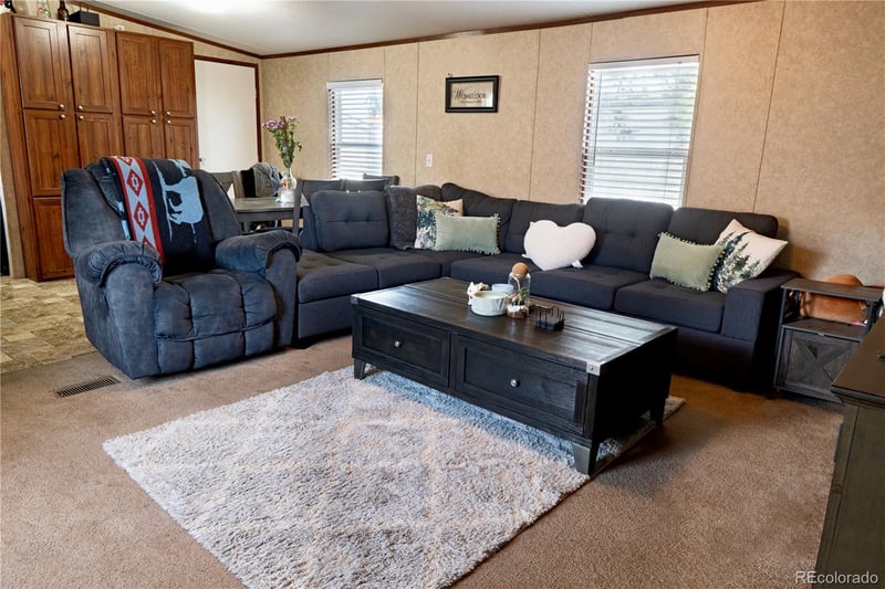 17 Darren St, Castle Rock, CO 80109