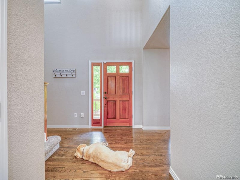 6763 Robb Ct, Littleton, CO 80127