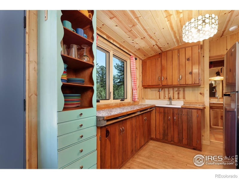 256 Fisk Fenner Rd, Allenspark, CO 80510