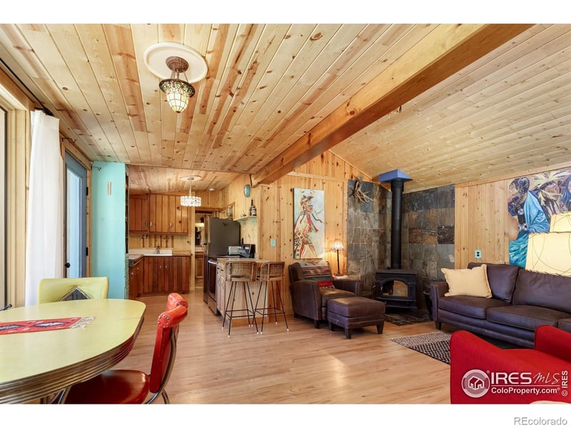 256 Fisk Fenner Rd, Allenspark, CO 80510