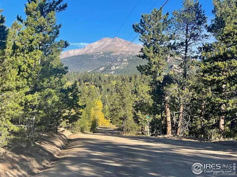 33 N Skinner Rd, Allenspark, CO 80510