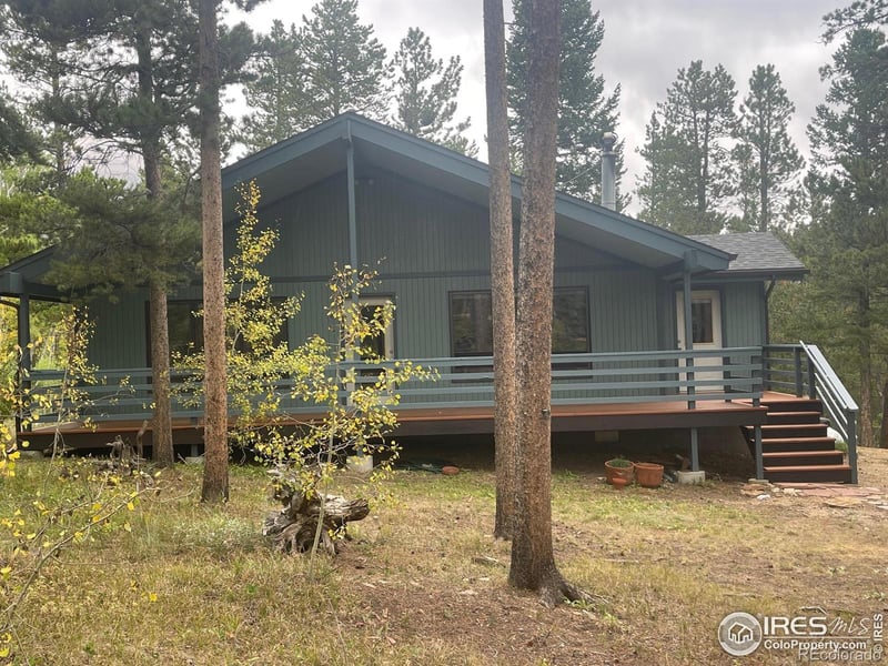 33 N Skinner Rd, Allenspark, CO 80510