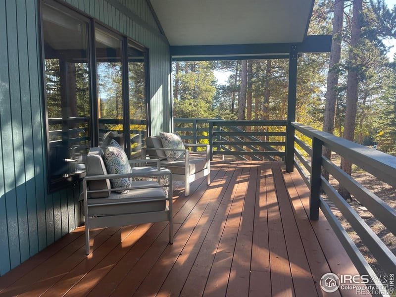 33 N Skinner Rd, Allenspark, CO 80510