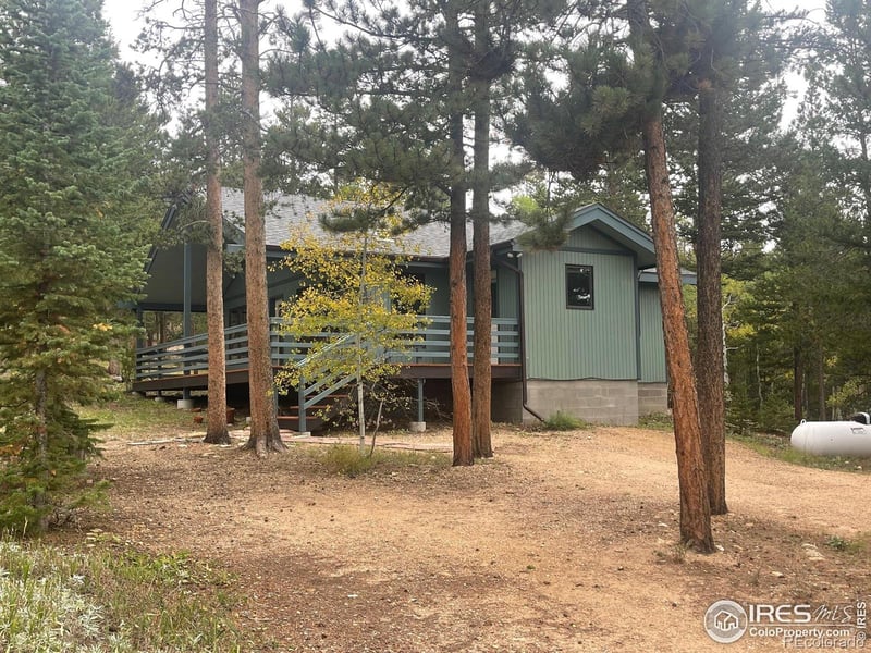 33 N Skinner Rd, Allenspark, CO 80510