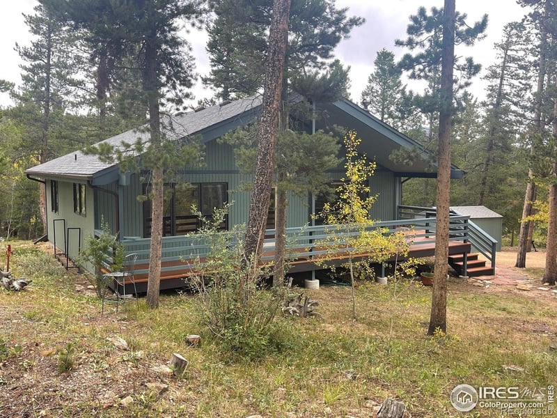 33 N Skinner Rd, Allenspark, CO 80510