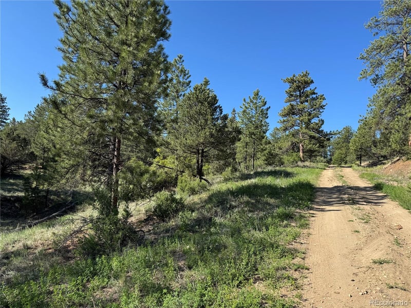 69 Coyote Run Rd, Cotopaxi, CO 81223