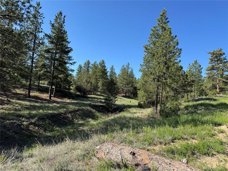 69 Coyote Run Rd, Cotopaxi, CO 81223