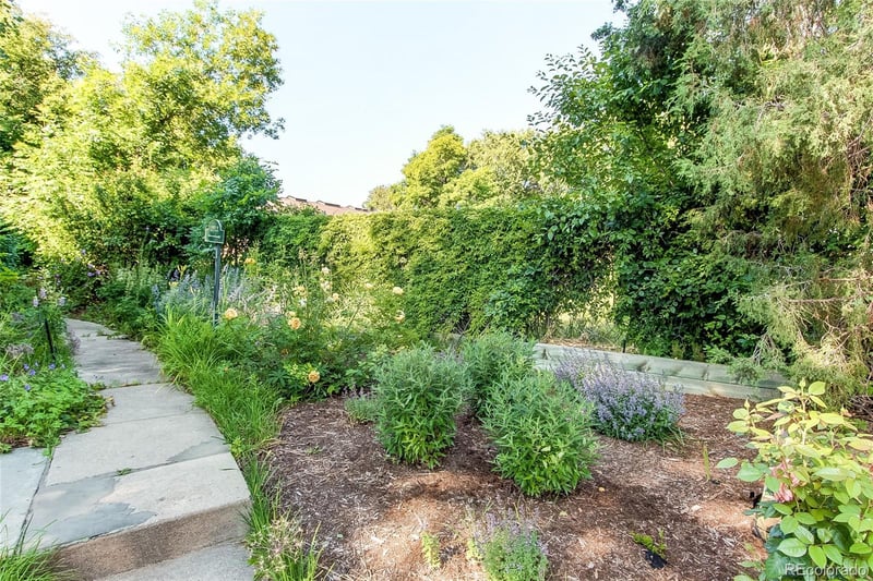 8888 W 37th Pl, Wheat Ridge, CO 80033