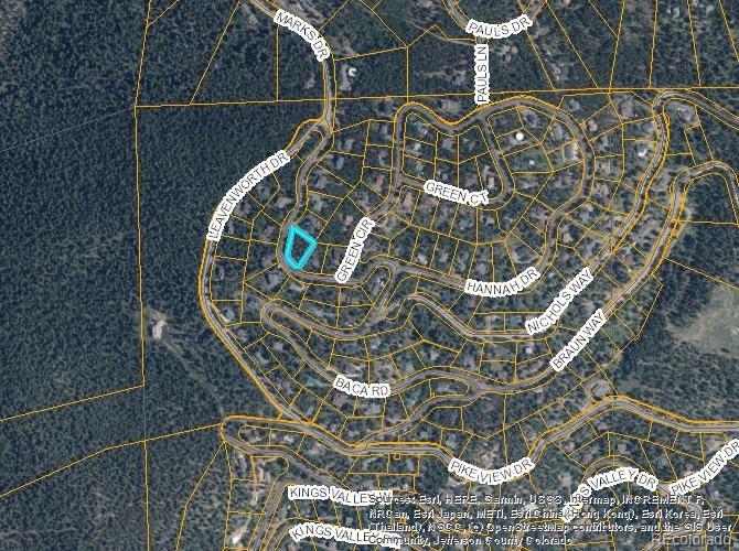 11637 Leavenworth Dr, Conifer, CO 80433