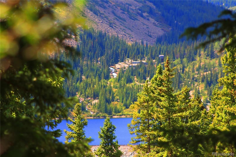 157 Goldfinch Pl, Alma, CO 80420