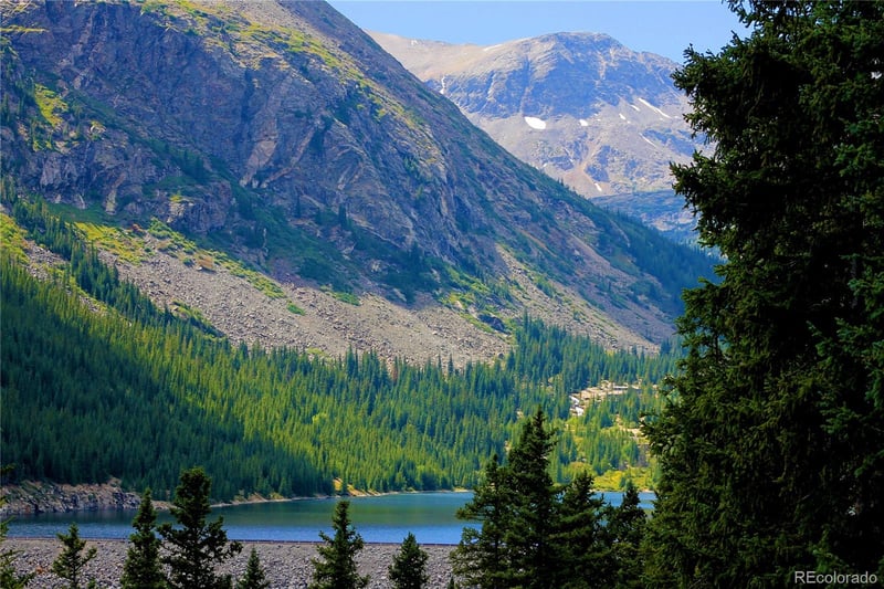 211 Goldfinch Pl, Alma, CO 80420