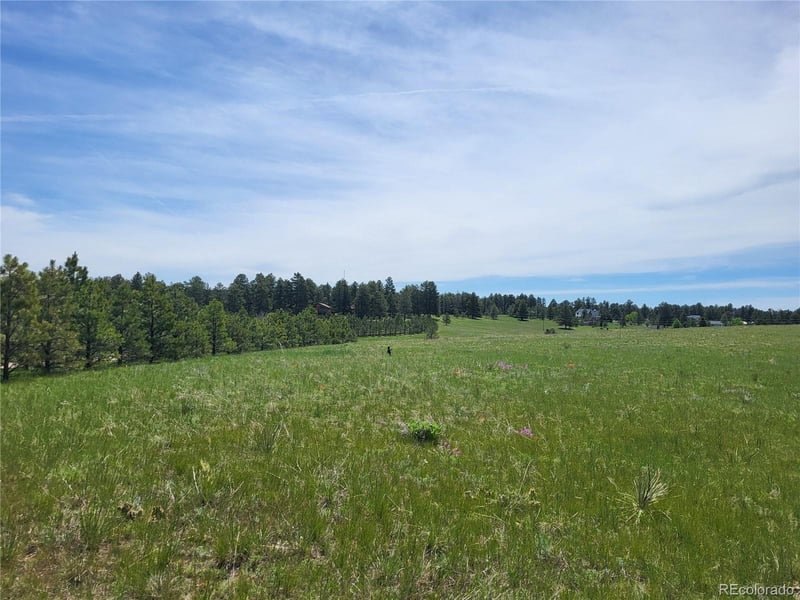 County 21 Rd Lot 1, Elizabeth, CO 80107
