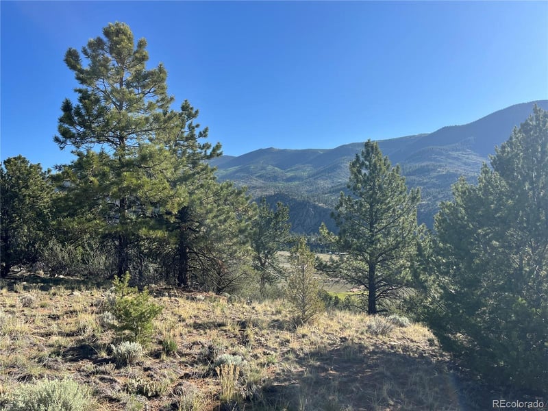 18322 Lake Rd Lot 48, Buena Vista, CO 81211