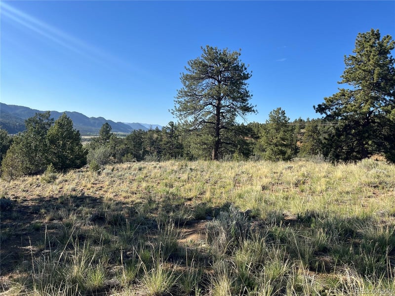 18322 Lake Rd Lot 48, Buena Vista, CO 81211