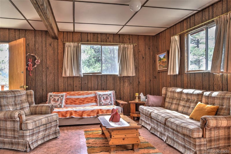 490 Teller St, Lake George, CO 80827