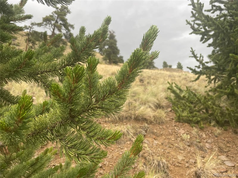 901 Elkhorn View Dr, Como, CO 80432