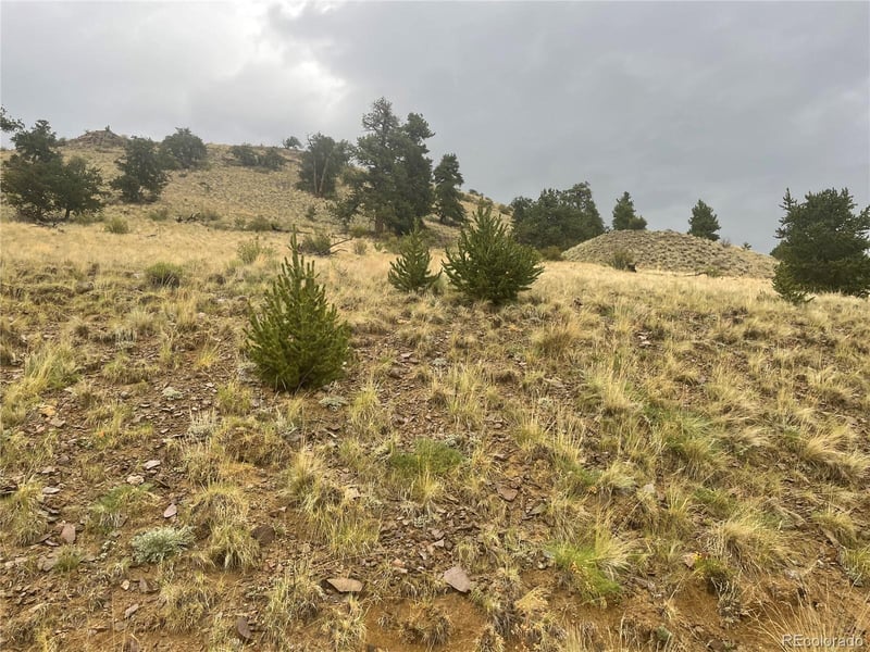 901 Elkhorn View Dr, Como, CO 80432