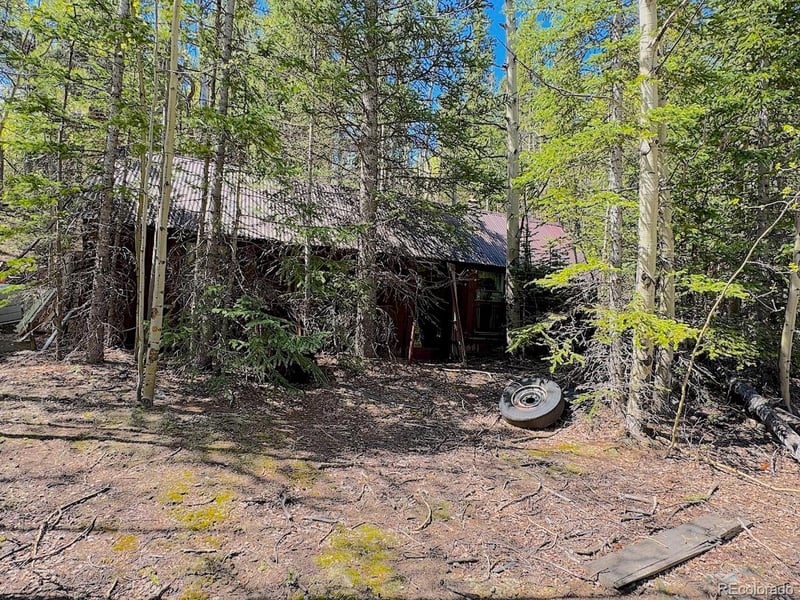 3257 Trail Creek Rd, Idaho Springs, CO 80452