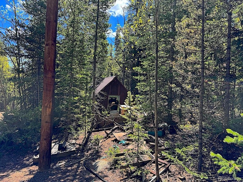 3257 Trail Creek Rd, Idaho Springs, CO 80452