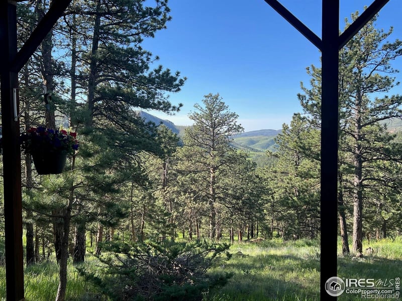 2434 Stove Prairie Rd, Bellvue, CO 80512