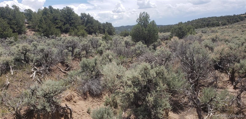 Lot 1505 Juarez & Dunn Rd Lot 1505, San Luis, CO 81152