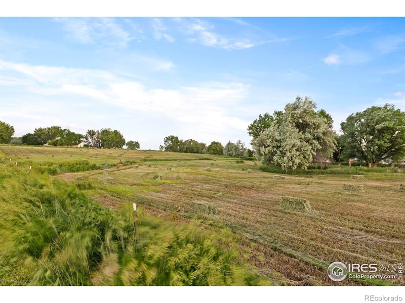991 Peaceful View Pl, Johnstown, CO 80534
