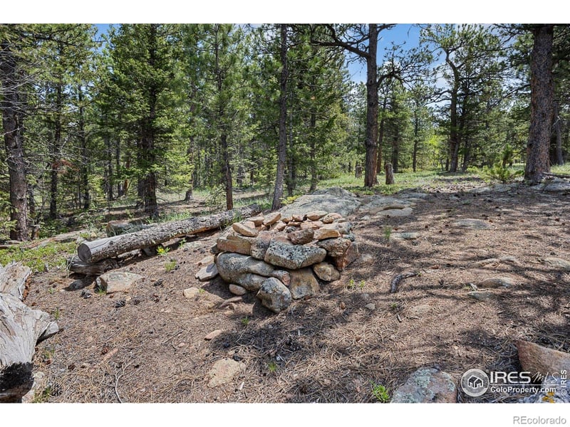 364 Overland Dr, Ward, CO 80481