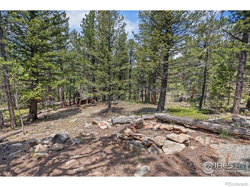 364 Overland Dr, Ward, CO 80481