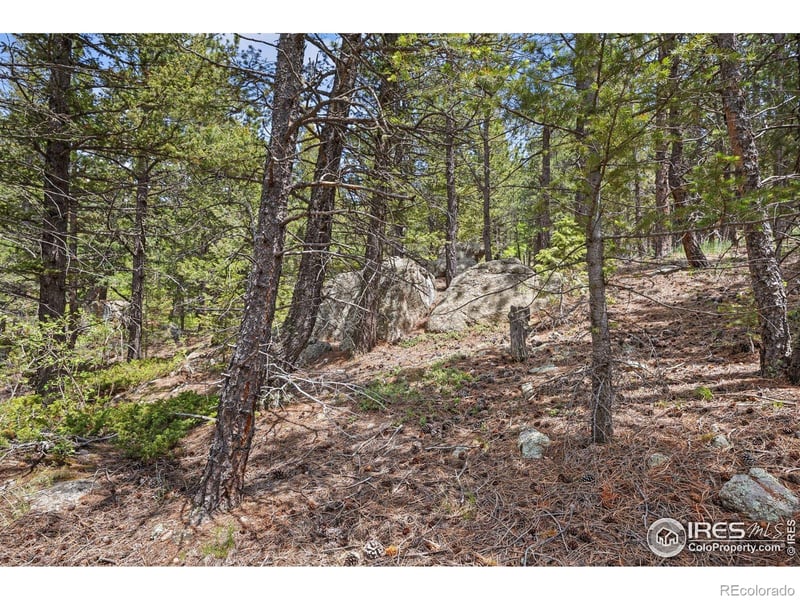 364 Overland Dr, Ward, CO 80481