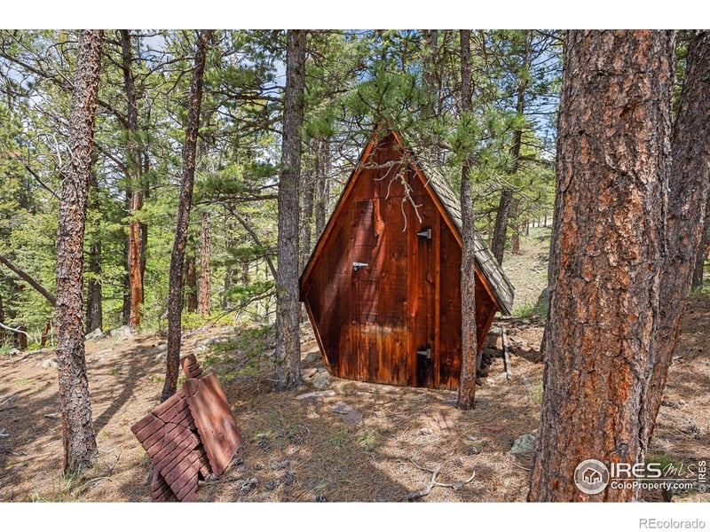 364 Overland Dr, Ward, CO 80481