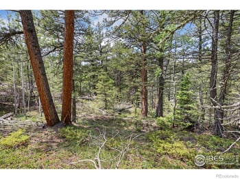 398 Overland Dr, Ward, CO 80481