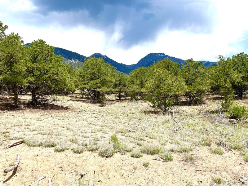 TRACT 4 PHILLEO ANNEX Hemlock St, Crestone, CO 81131