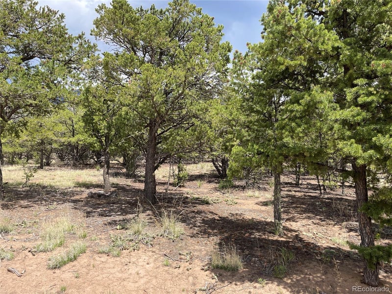 Tract 5 PHILLEO ANNEX Hemlock St, Crestone, CO 81131