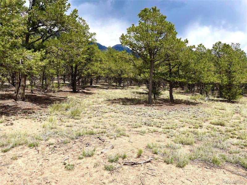 Tract 5 PHILLEO ANNEX Hemlock St, Crestone, CO 81131