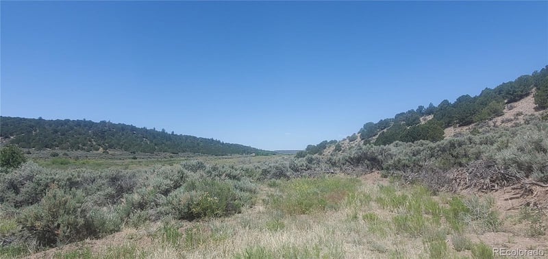 Lot 7510 Charmin Rd, Fort Garland, CO 81133