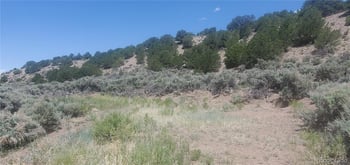 Lot 7510 Charmin Rd, Fort Garland, CO 81133
