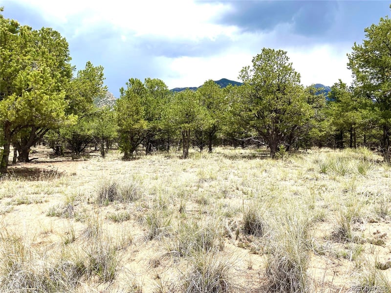 Tract 6 PHILLEO ANNEX Hemlock St, Crestone, CO 81131