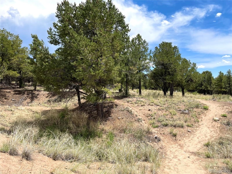 Tract 6 PHILLEO ANNEX Hemlock St, Crestone, CO 81131