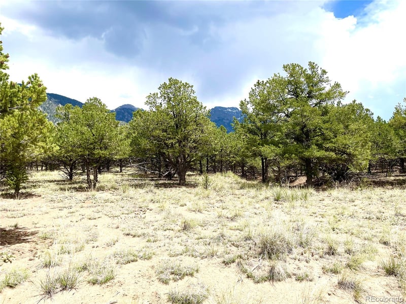 Tract 6 PHILLEO ANNEX Hemlock St, Crestone, CO 81131