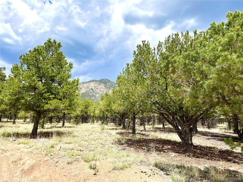 Tract 6 PHILLEO ANNEX Hemlock St, Crestone, CO 81131